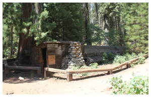 Tharp's Log