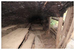 Tharp's Log