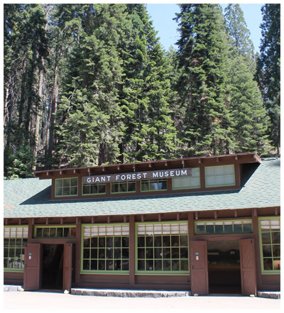 Giant Forest Museum