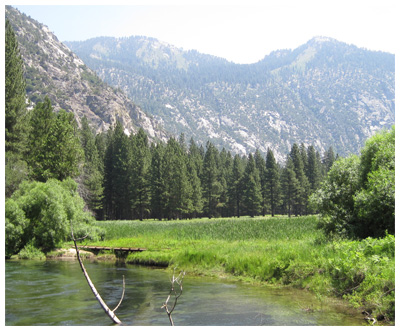 Zumwalt Meadow