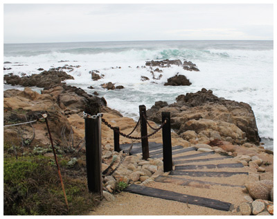 Asilomar State Beach and Conference Grounds