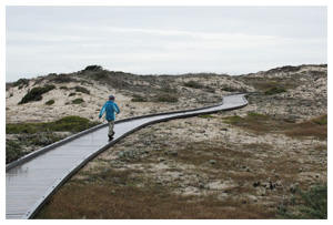 Asilomar State Beach and Conference Grounds