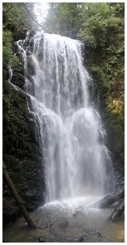 Big Basin Redwoods State Park