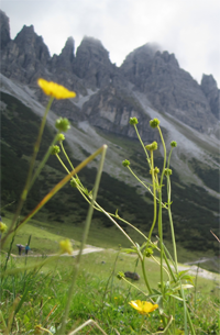 Hiking to the Adolf-Pichler-HÃ¼tte