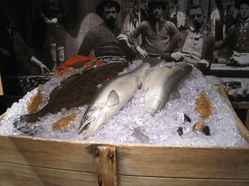 blog-20120805-img4