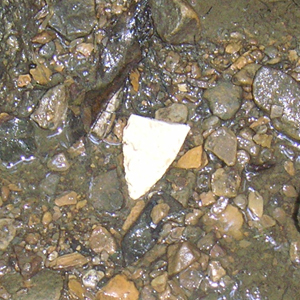 Arrowhead