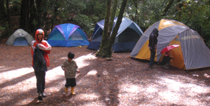 tents