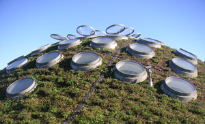 The Living Roof