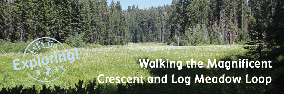 Cresecent meadow