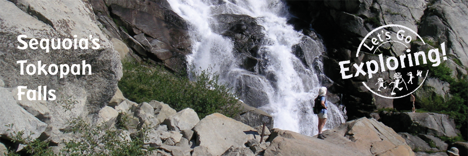 Tokopah Falls
