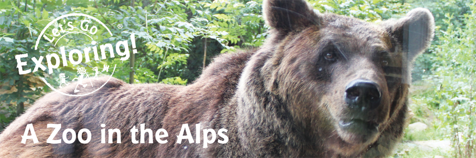 A Zoo in the Alps