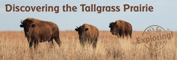 Tallgrass Prairie Preserve